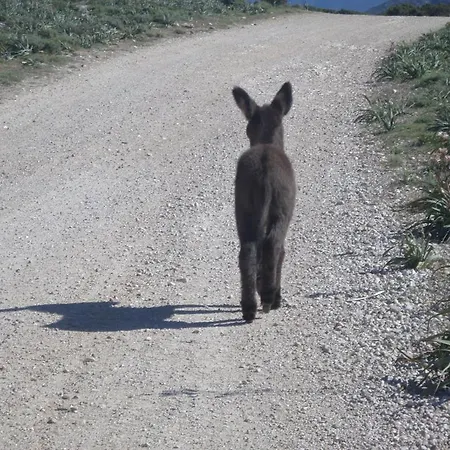 Oda ve Kahvaltı Sa Funtana 3*